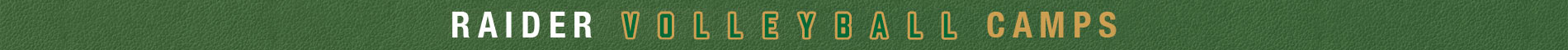 Wright State - Volleyball